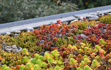 the cost of Ballards Ash green roof installation