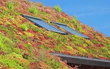 Ballards Ash living roof systems