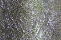 Ballards Ash fibreglass roof work